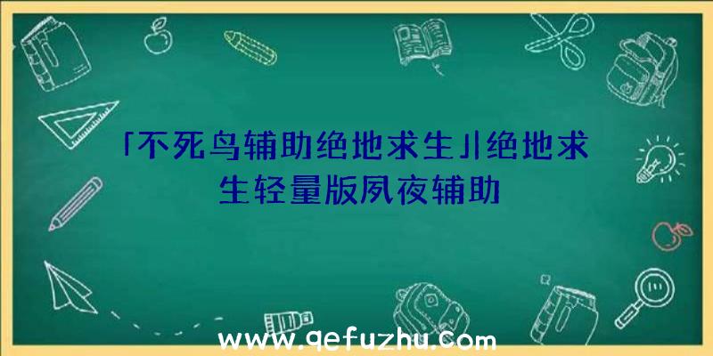 「不死鸟辅助绝地求生」|绝地求生轻量版夙夜辅助